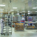 Commercial bakery and pastry manufacturing facility in Dubai serving B2B, private label, and export markets